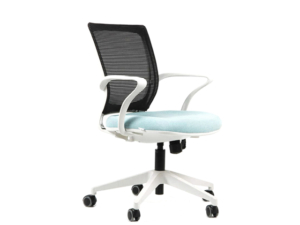 STUDIO WHITE - 1