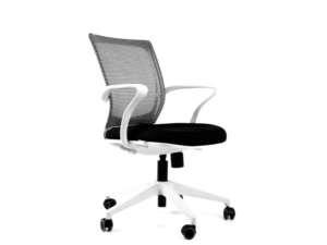 STUDIO WHITE - 2