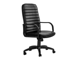 Sillón de Escritorio CONFORT - 1