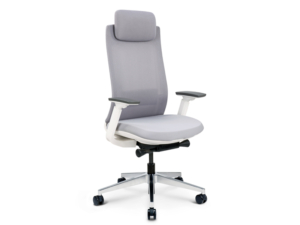 Sillón de Escritorio EVOLUTION - 1
