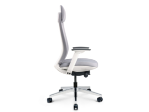 Sillón de Escritorio EVOLUTION - 2