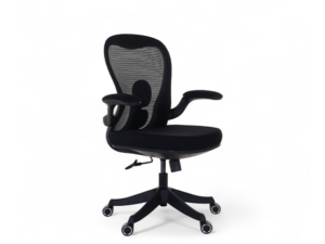 Silla Flip - 1