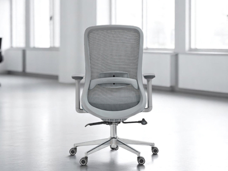 WEB ROUND MID BACK BG2