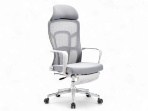Silla SitZen - 1