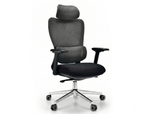 Silla X-10 Pro - 1