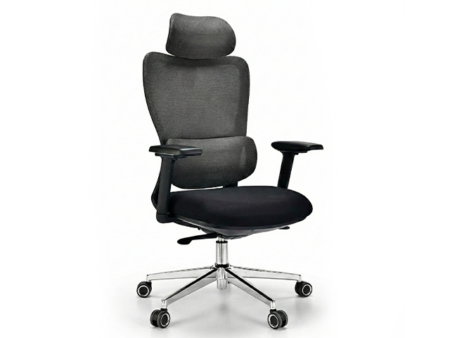 Silla X-10 Pro - 1