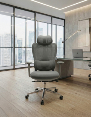 Silla X-10 Pro Grey - 2