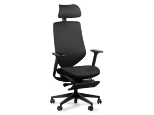 Silla Spine Black - 1